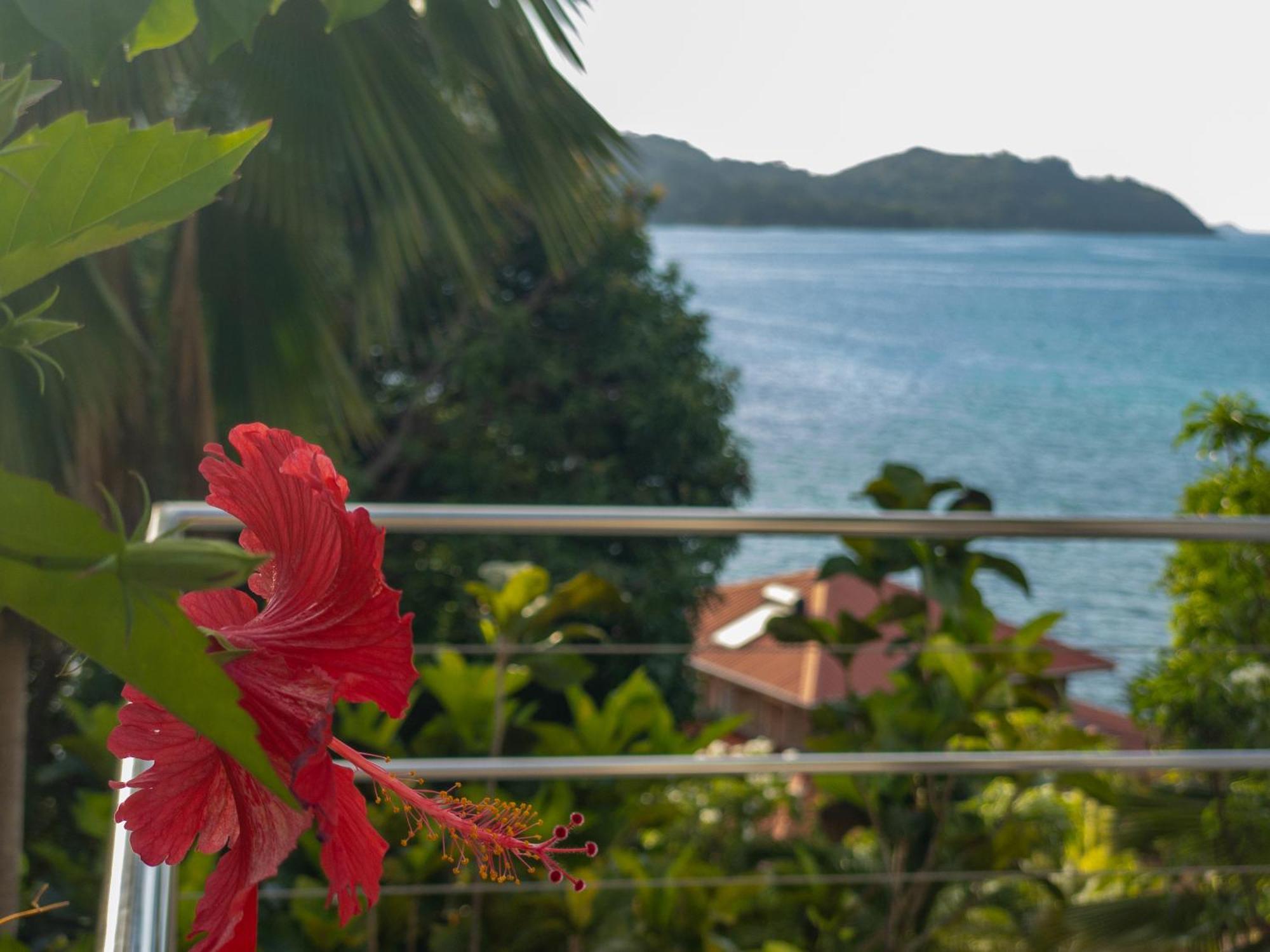 Passage Du Soleil Villa Anse Volbert Village Exterior foto